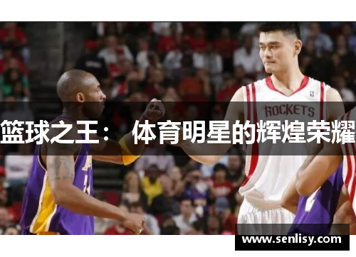 篮球之王： 体育明星的辉煌荣耀
